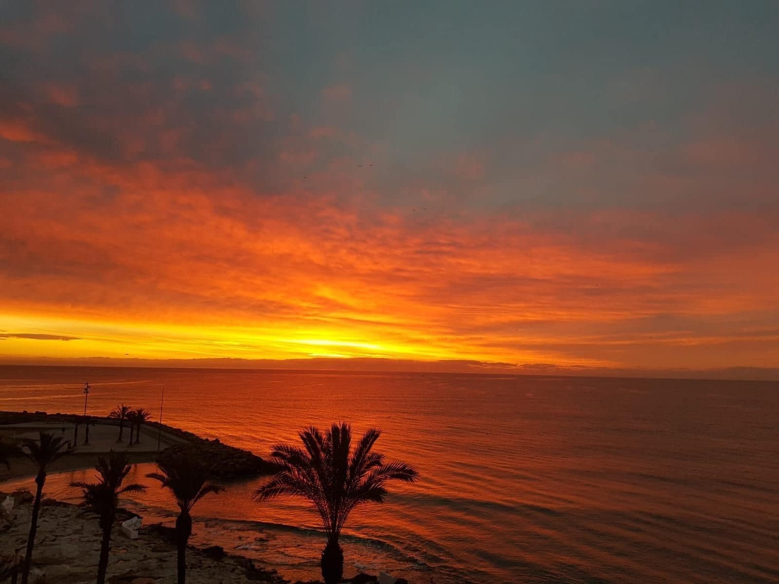 4 slaapkamer Appartement te koop in Torrevieja - € 474.900 (Ref: 9869404)