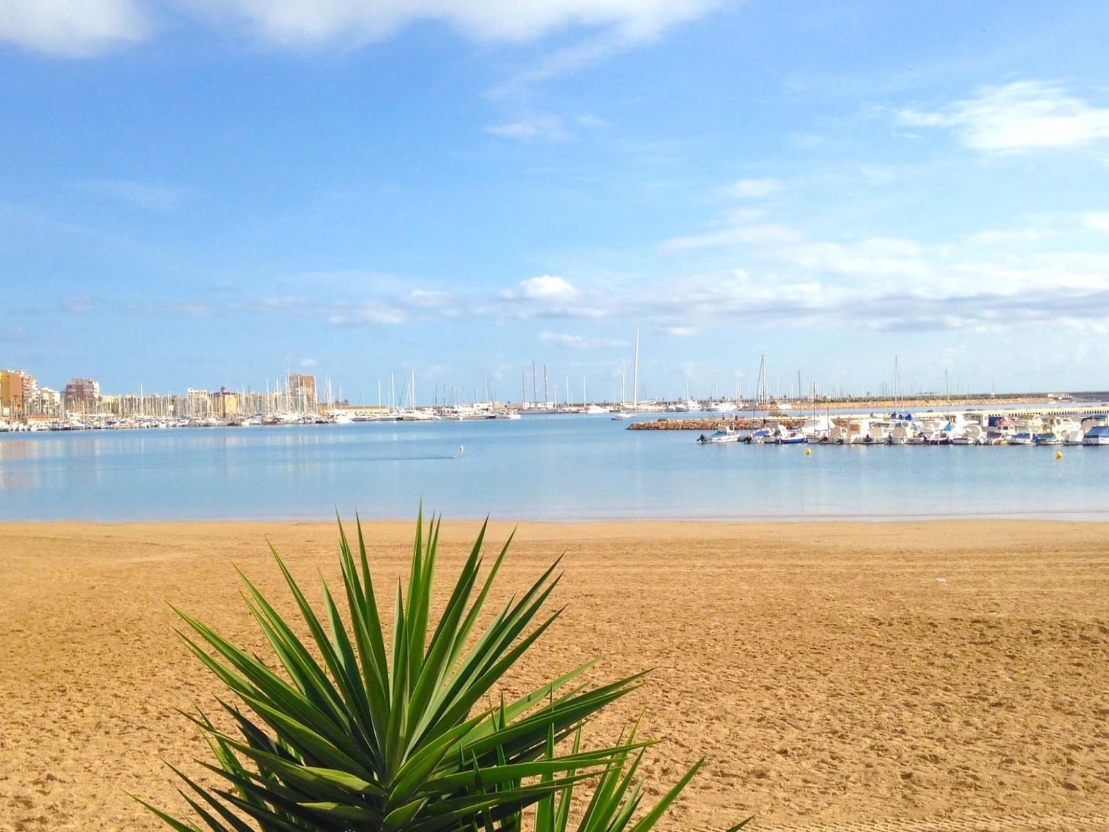 2 soveværelse Lejlighed til salg i Torrevieja - € 270.000 (Ref: 9871925)