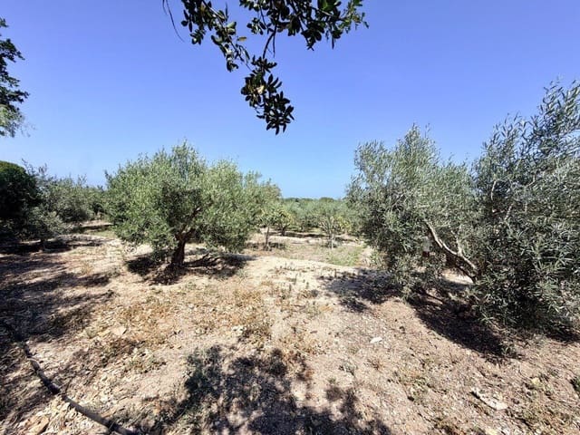 5 soverom Finca/Herregård til salgs i La Marina, Elche / Elx med garasje - € 298 000 (Ref: 9962966)