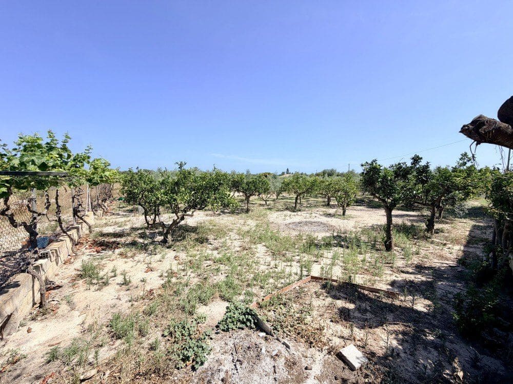 5 Zimmer Finca/Landgut zu verkaufen in La Marina mit Garage - 298.000 € (Ref: 9962966)