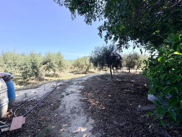 5 soverom Finca/Herregård til salgs i La Marina, Elche / Elx med garasje - € 298 000 (Ref: 9962966)