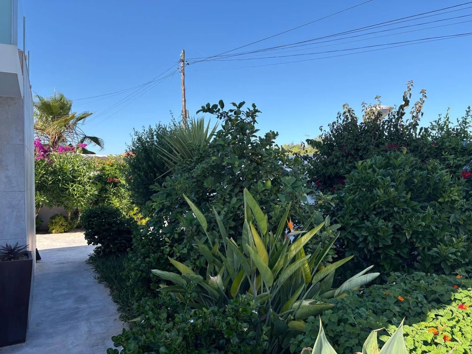 2 bedroom Villa for sale in Torrevieja with pool - € 465,000 (Ref: 9963006)