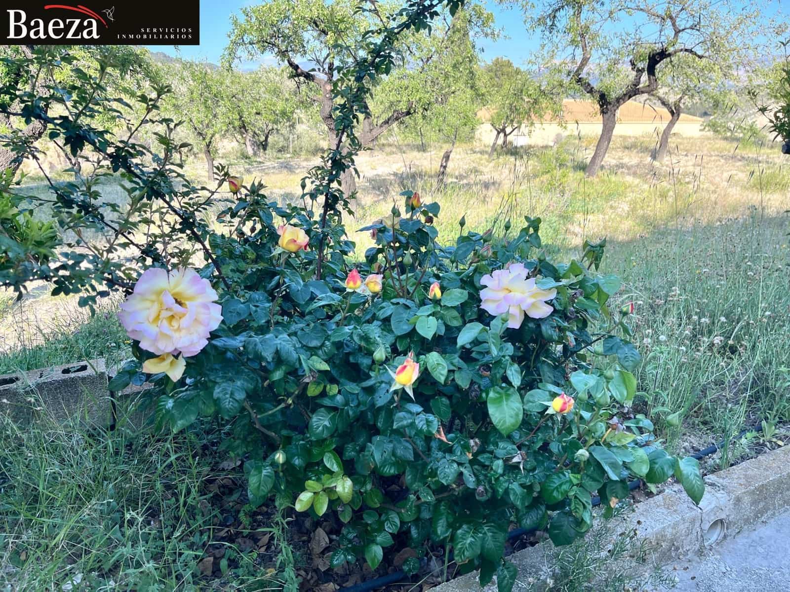 3 chambre Villa/Maison à vendre à Jijona / Xixona avec piscine - 235 000 € (Ref: 9509685)