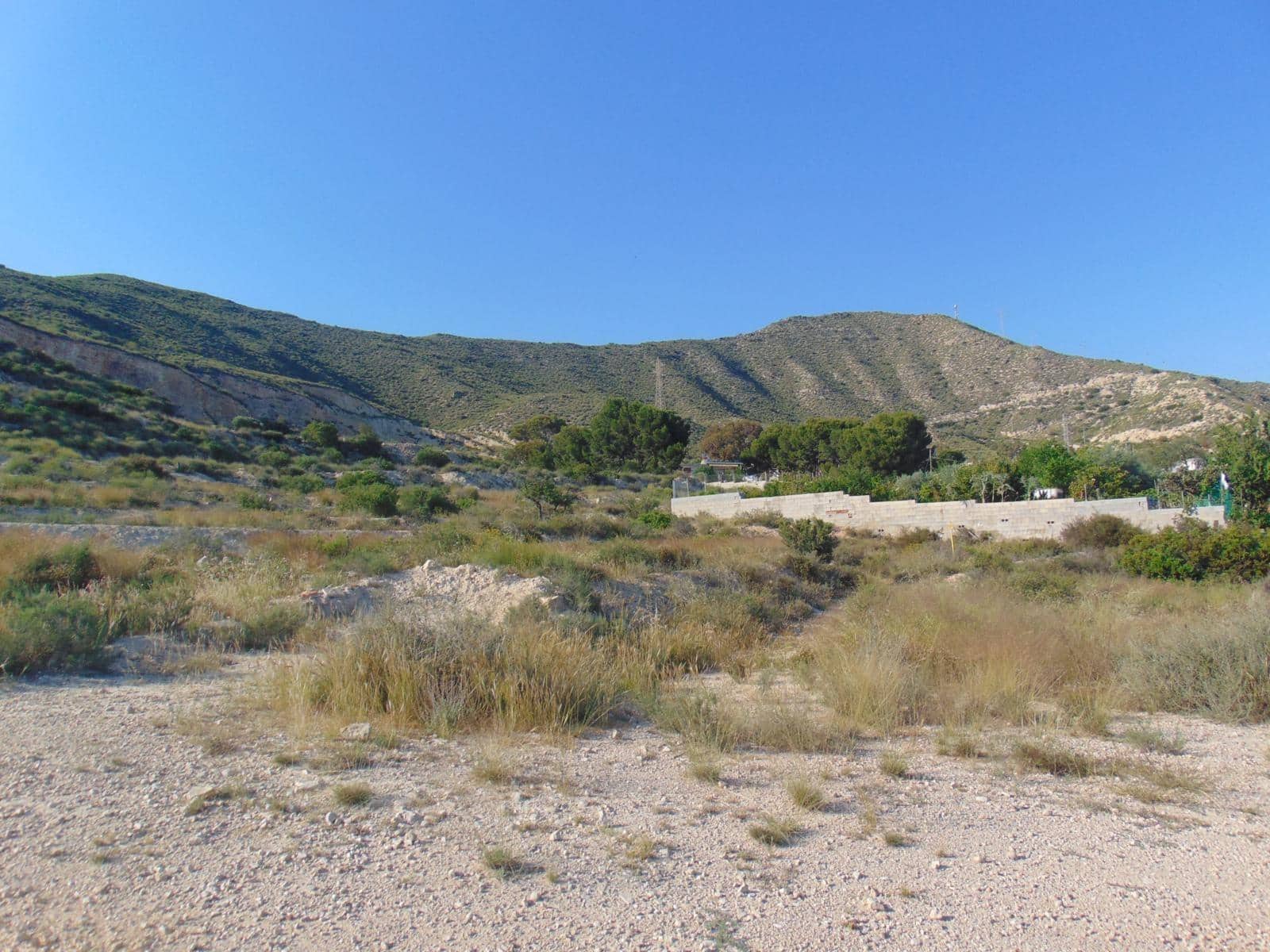 Undeveloped Land for sale in Coveta Fuma - € 55,000 (Ref: 9509687)