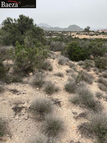 Undeveloped Land for sale in Muchamiel / Mutxamel - € 55,000 (Ref: 9509691)