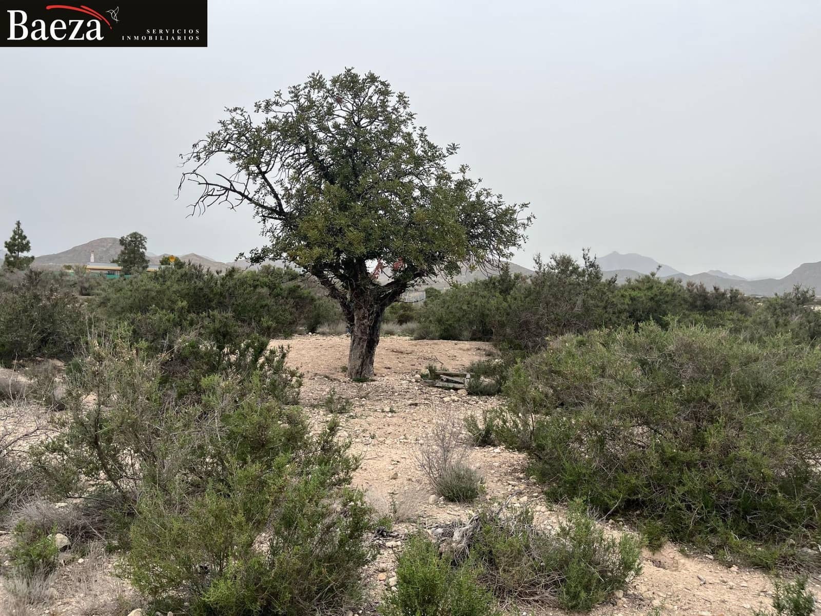 Undeveloped Land for sale in Muchamiel / Mutxamel - € 55,000 (Ref: 9509691)