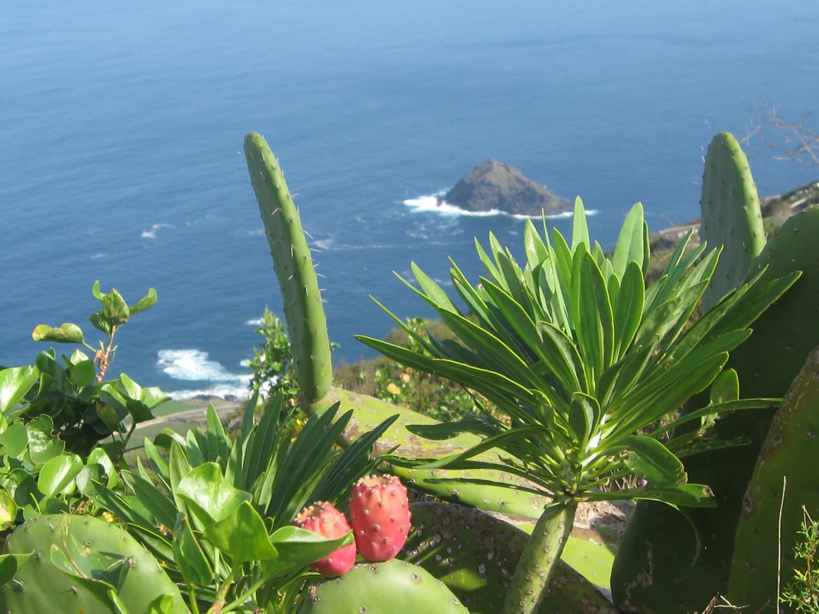 3 Zimmer Finca/Landgut zu verkaufen in Puerto de la Cruz - 350.000 € (Ref: 9518271)