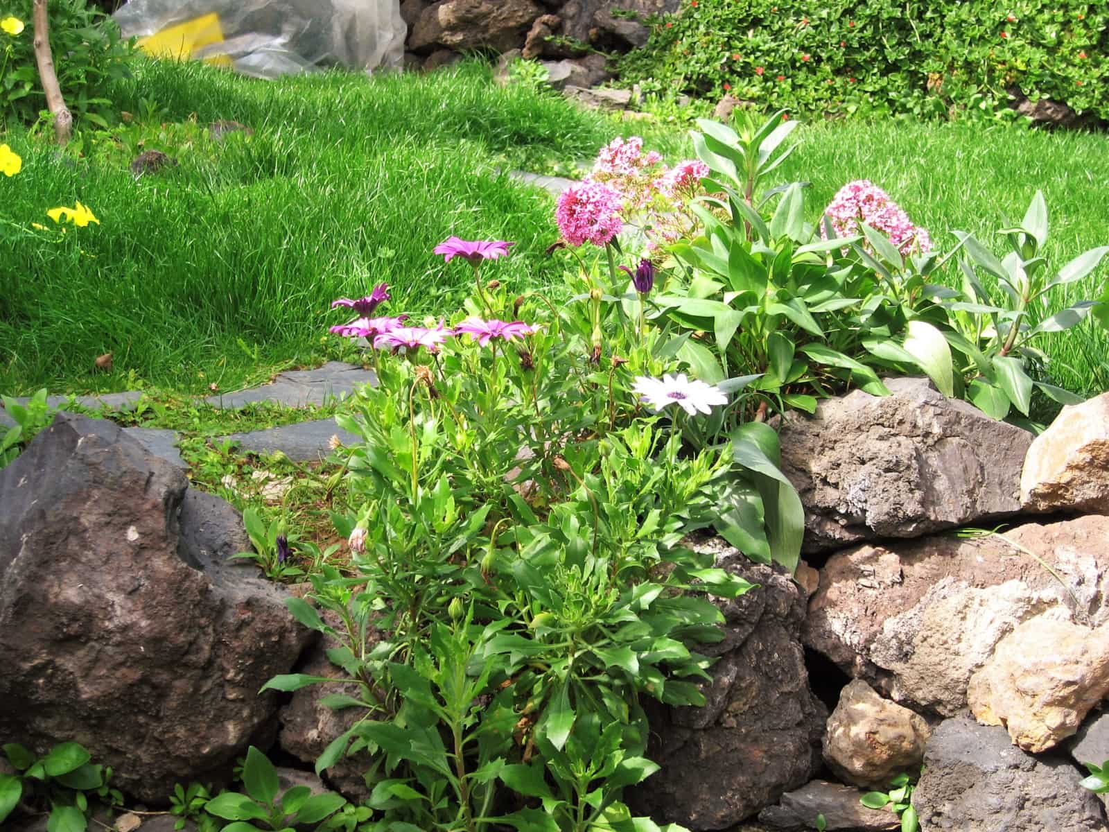 3 Zimmer Finca/Landgut zu verkaufen in Puerto de la Cruz - 350.000 € (Ref: 9518271)