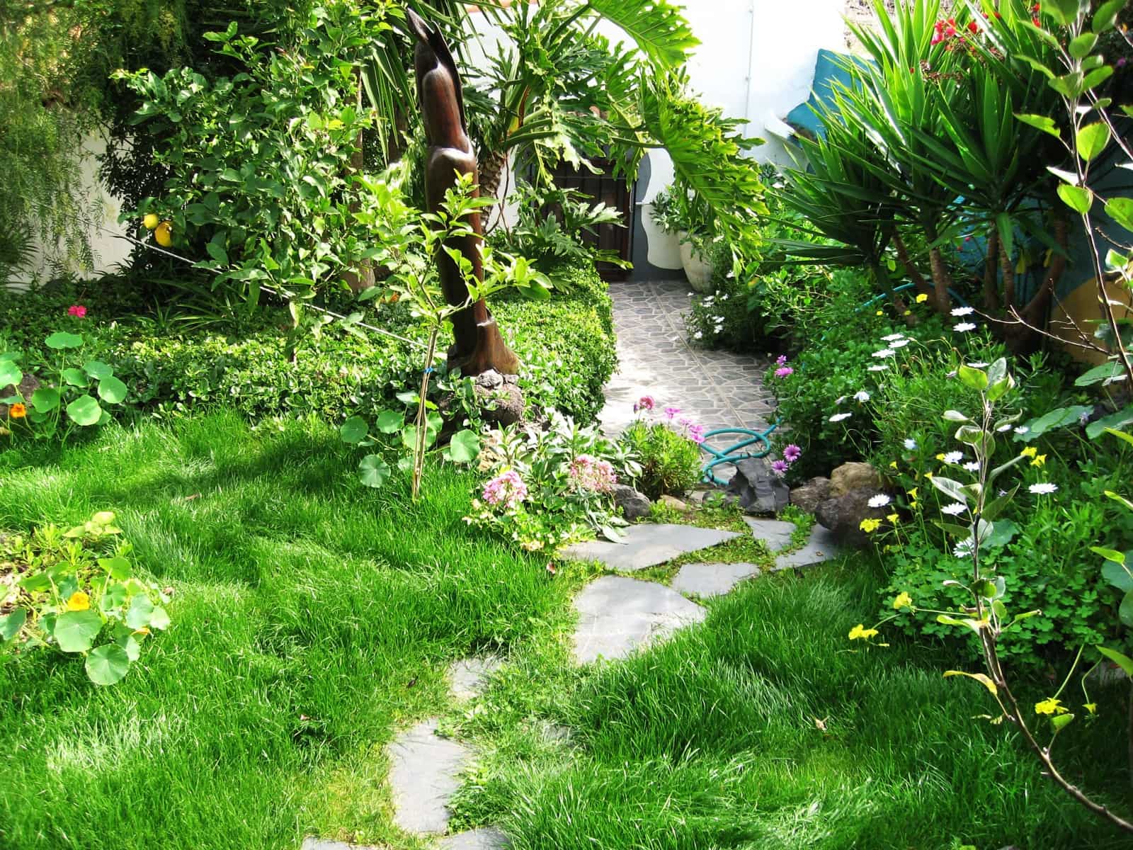 3 Zimmer Finca/Landgut zu verkaufen in Puerto de la Cruz - 350.000 € (Ref: 9518271)