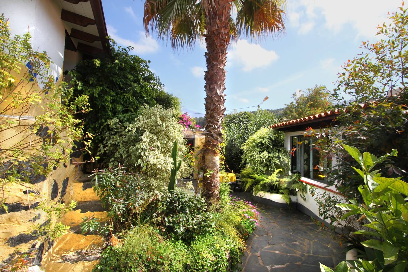 3 Zimmer Finca/Landgut zu verkaufen in Puerto de la Cruz - 350.000 € (Ref: 9518271)