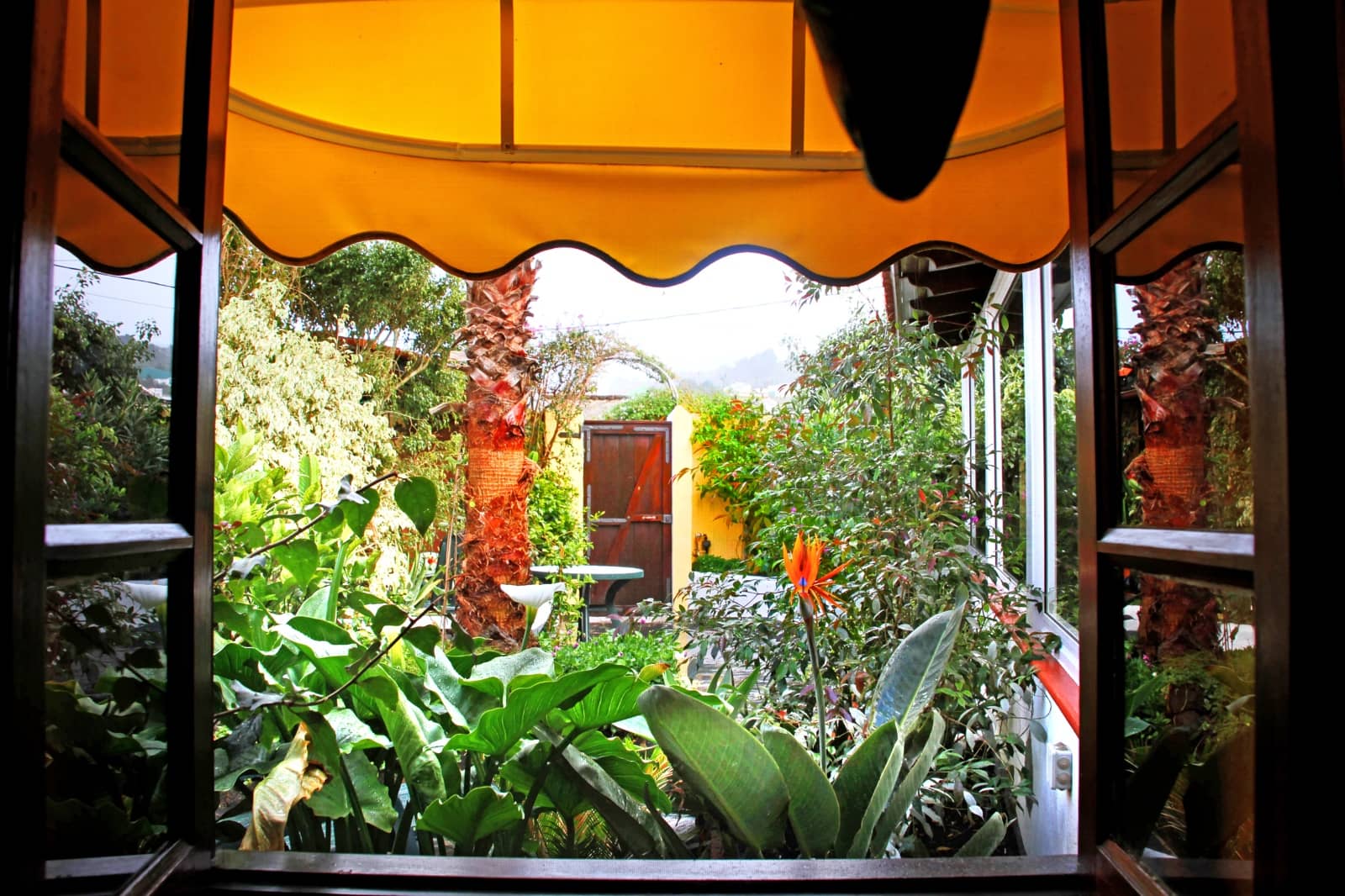 3 Zimmer Finca/Landgut zu verkaufen in Puerto de la Cruz - 350.000 € (Ref: 9518271)