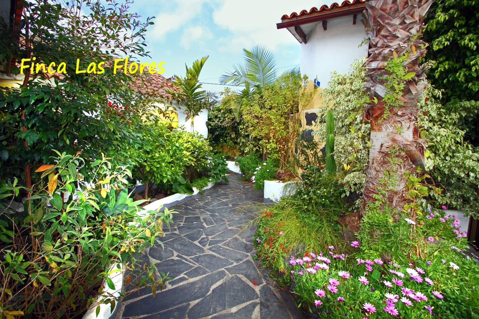 3 Zimmer Finca/Landgut zu verkaufen in Puerto de la Cruz - 350.000 € (Ref: 9518271)