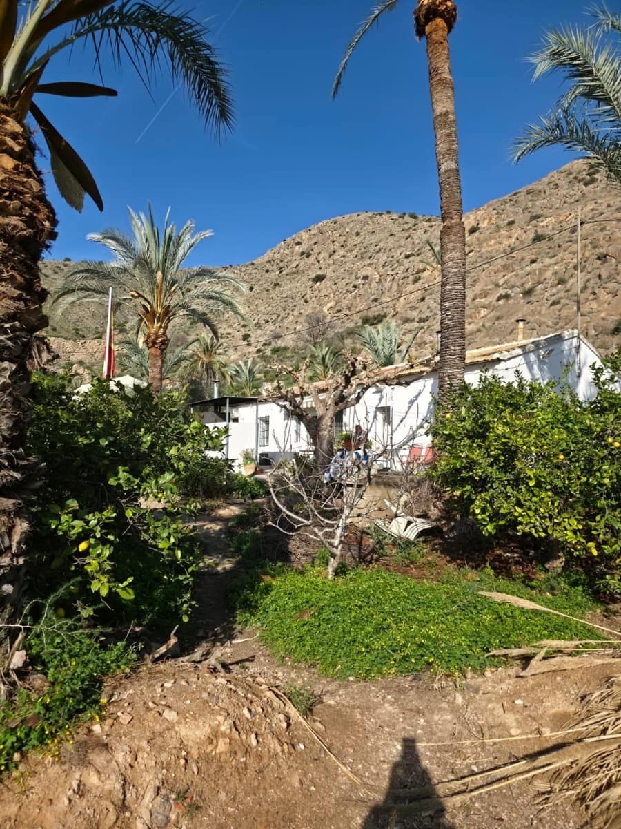 3 soverom Finca/Herregård til salgs i Orihuela med svømmebasseng - € 260 000 (Ref: 10161540)