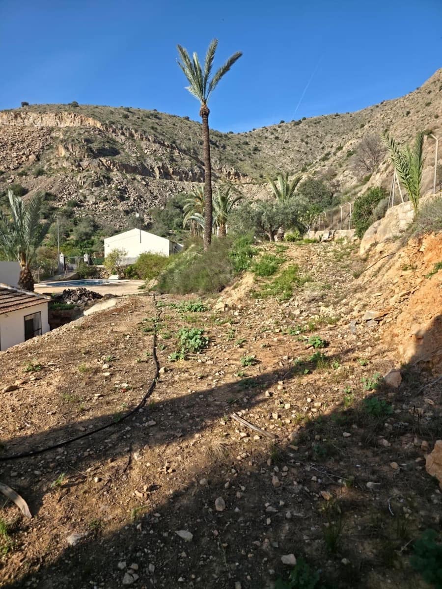3 soverom Finca/Herregård til salgs i Orihuela med svømmebasseng - € 260 000 (Ref: 10161540)