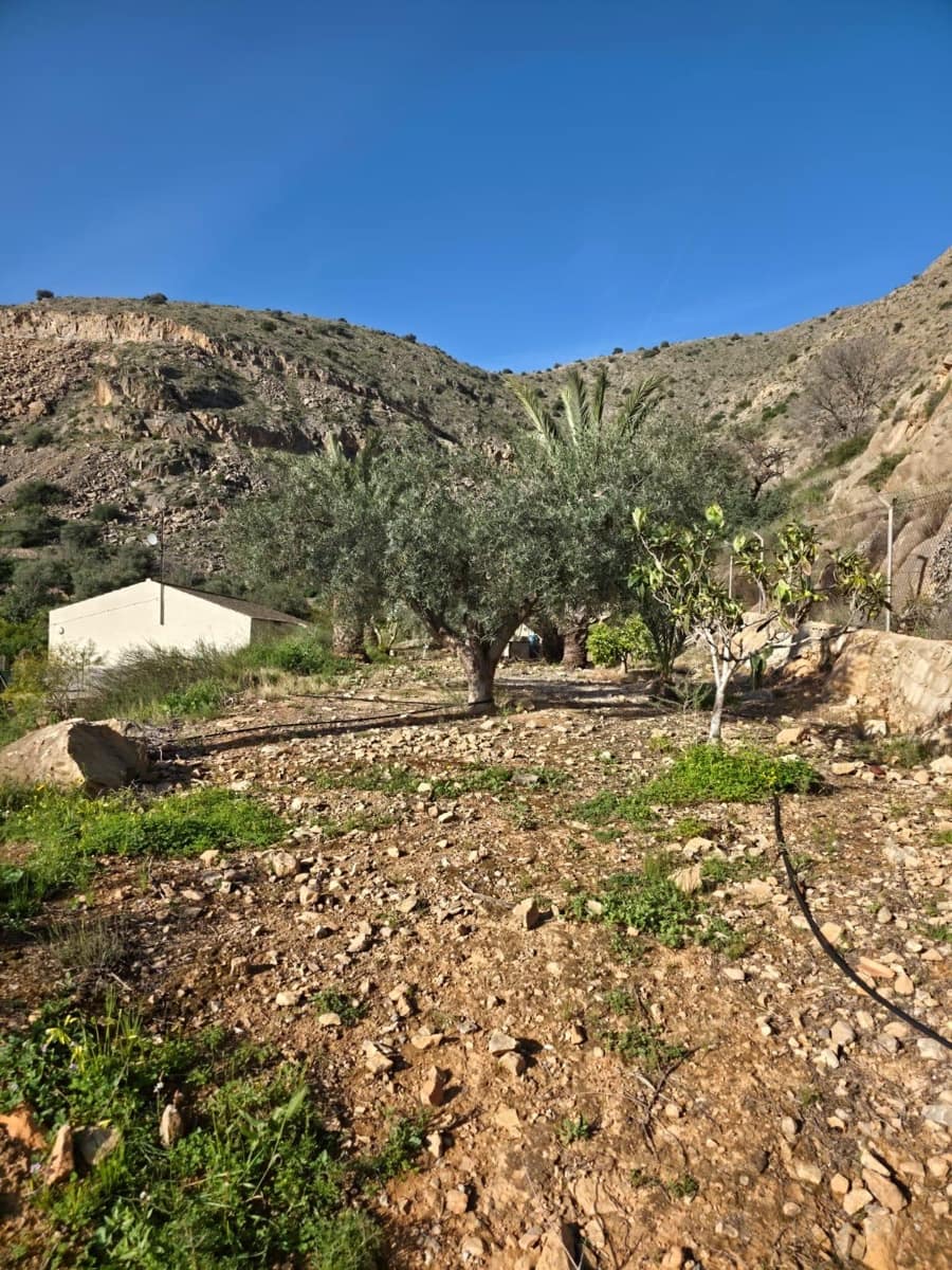 3 soverom Finca/Herregård til salgs i Orihuela med svømmebasseng - € 260 000 (Ref: 10161540)