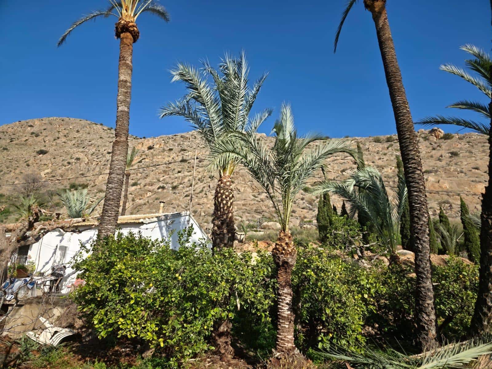 3 soverom Finca/Herregård til salgs i Orihuela med svømmebasseng - € 260 000 (Ref: 10161540)
