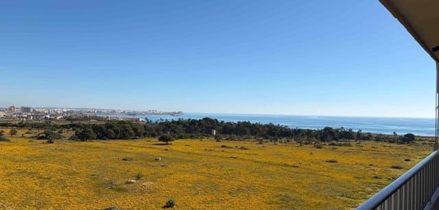 2 quarto Apartamento para venda em Punta Prima, Torrevieja - 235 000 € (Ref: 9747906)