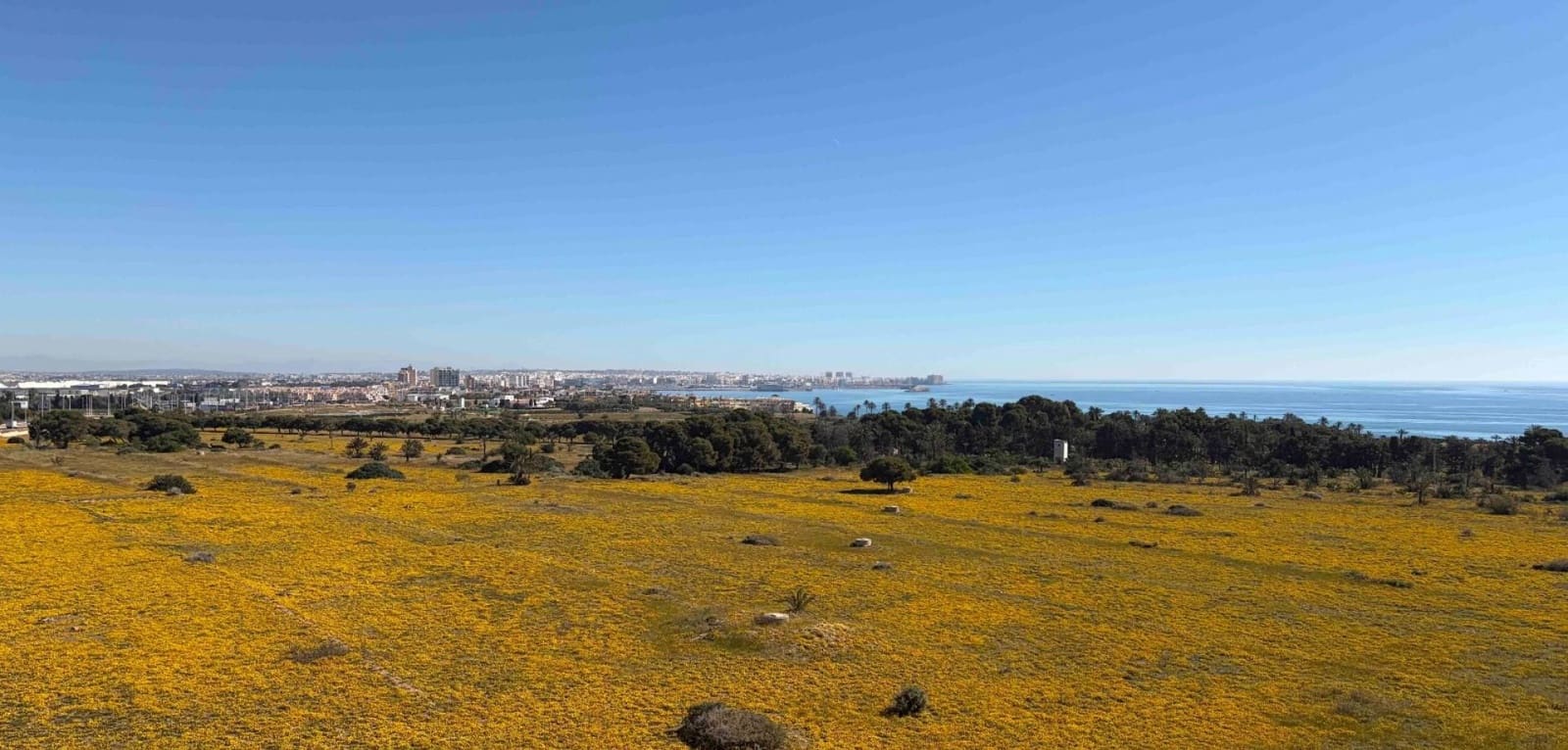 2 chambre Appartement à vendre à Punta Prima - 235 000 € (Ref: 9747906)