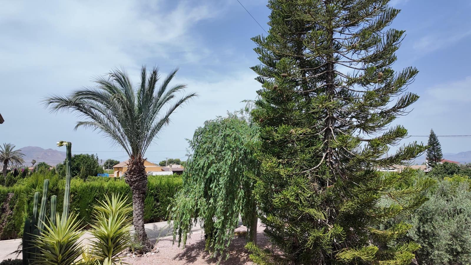 Chalet de 6 habitaciones en San Isidro en venta con piscina garaje - 720.000 € (Ref: 9927405)