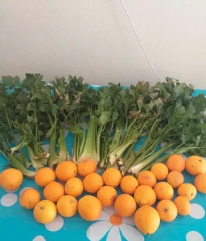 Grunde uden byggetilladelser til salg i Güímar - € 24.000 (Ref: 9537800)