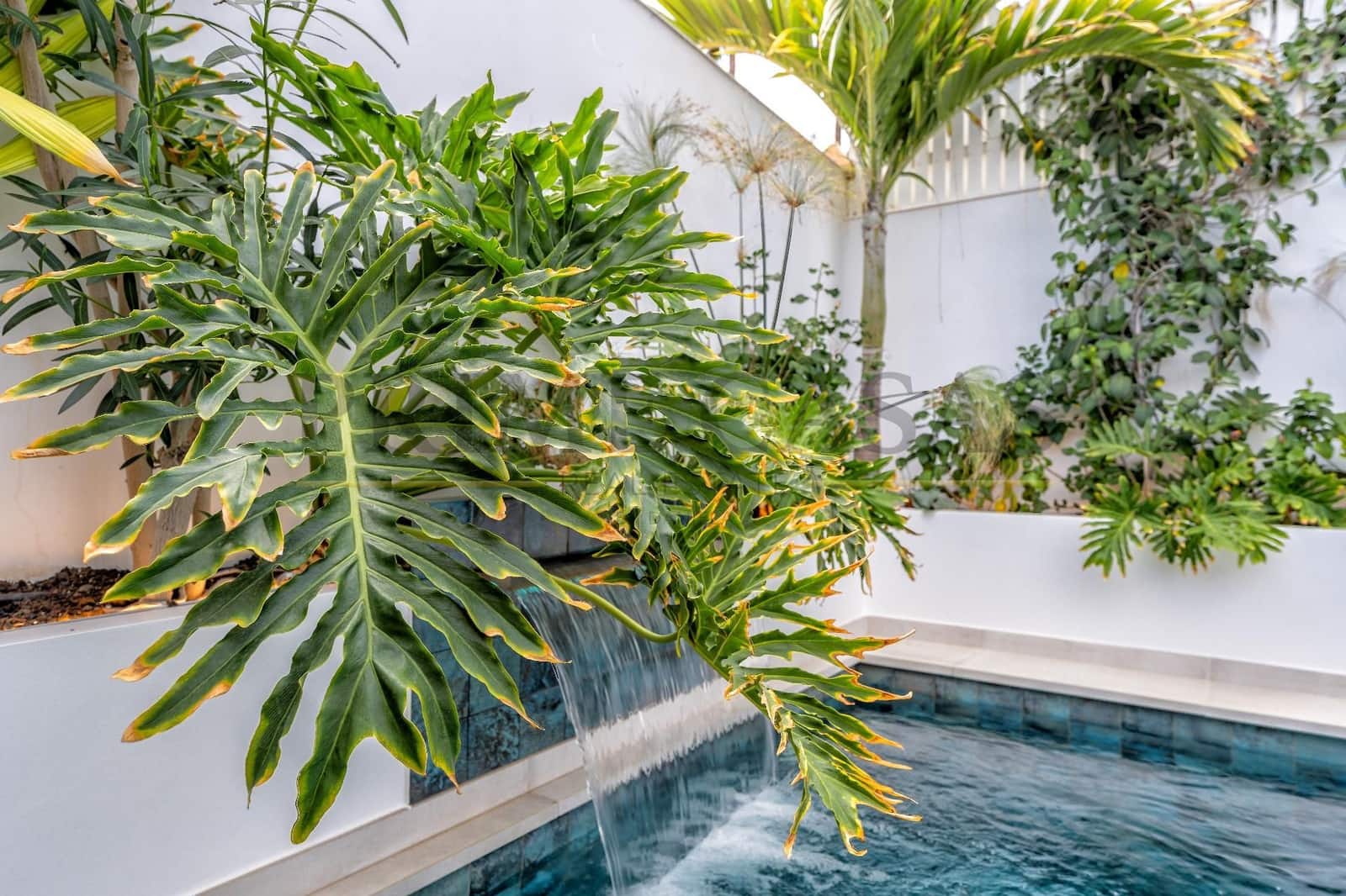 3 slaapkamer Bungalow te koop in San Bartolome de Tirajana met zwembad - € 1.390.000 (Ref: 9540657)