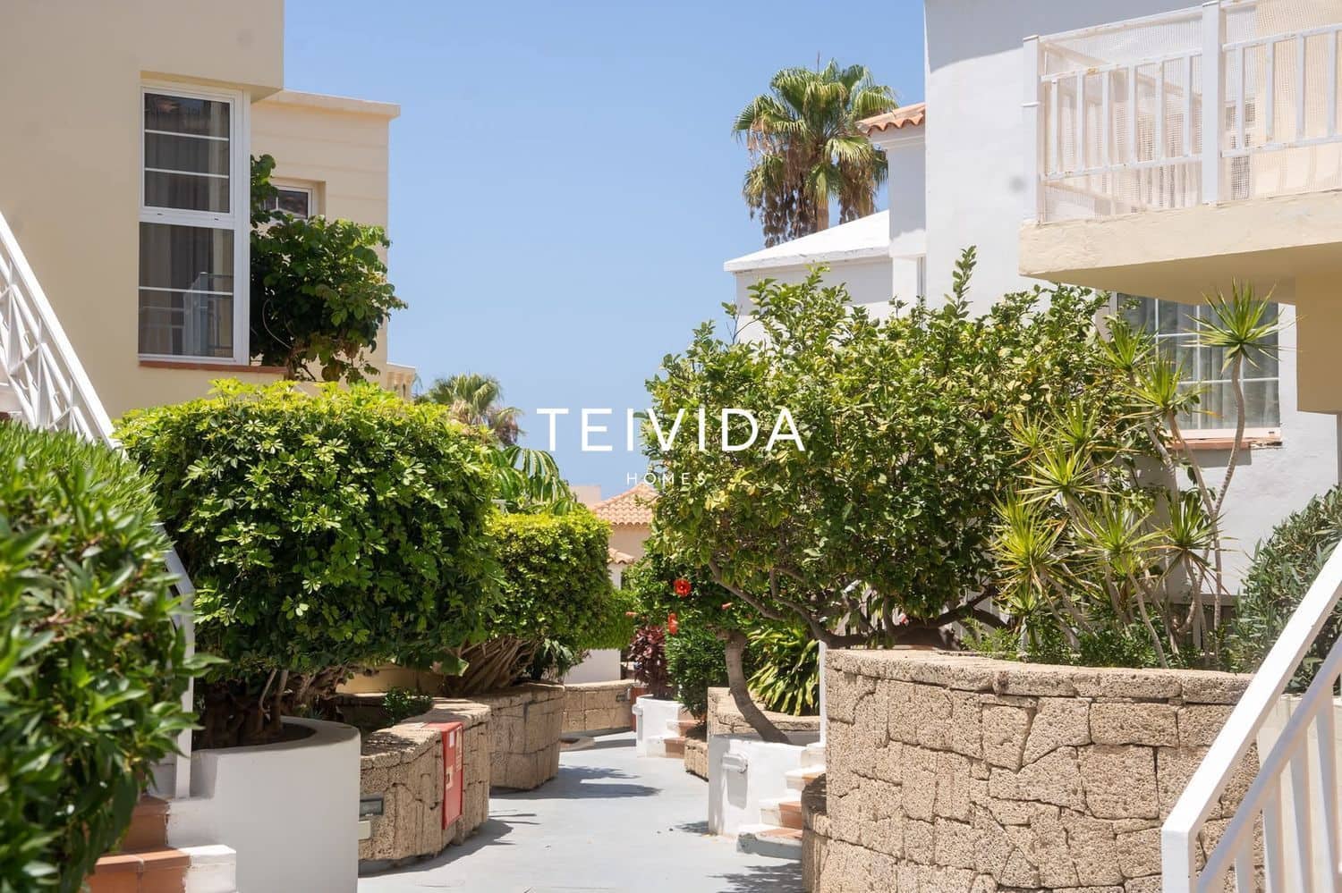 Piso de 1 habitación en Playa Fañabe en alquiler con piscina - 1.950 € (Ref: 10033064)