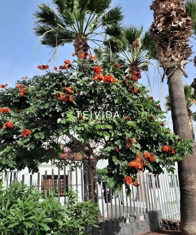 Bauplatz zu verkaufen in Costa del Silencio, Arona - 650.000 € (Ref: 10043472)