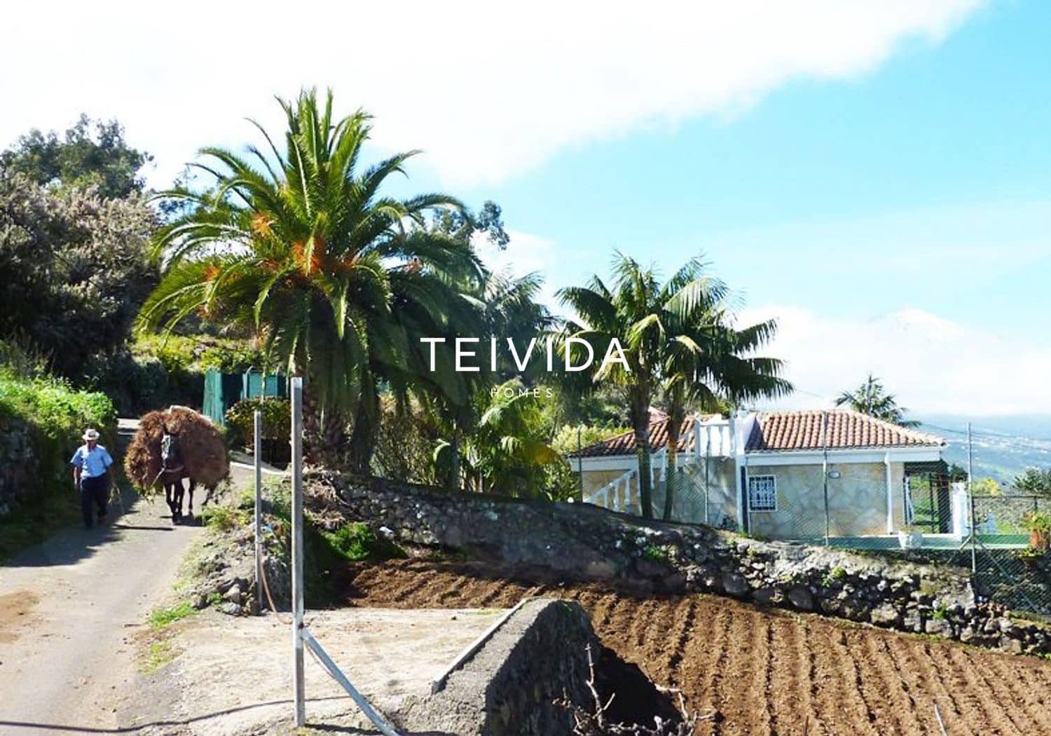 3 sovrum Villa till salu i Santa Ursula med pool garage - 379 000 € (Ref: 10079926)