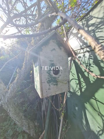 Bauplatz zu verkaufen in Buenavista del Norte - 39.000 € (Ref: 10079932)