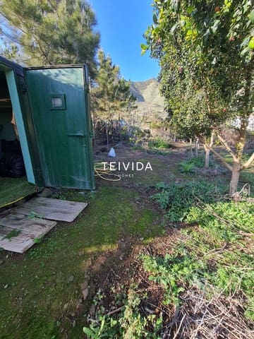 Bauplatz zu verkaufen in Buenavista del Norte - 39.000 € (Ref: 10079932)