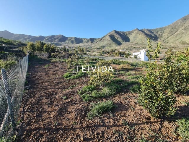 Bauplatz zu verkaufen in Buenavista del Norte - 39.000 € (Ref: 10079932)