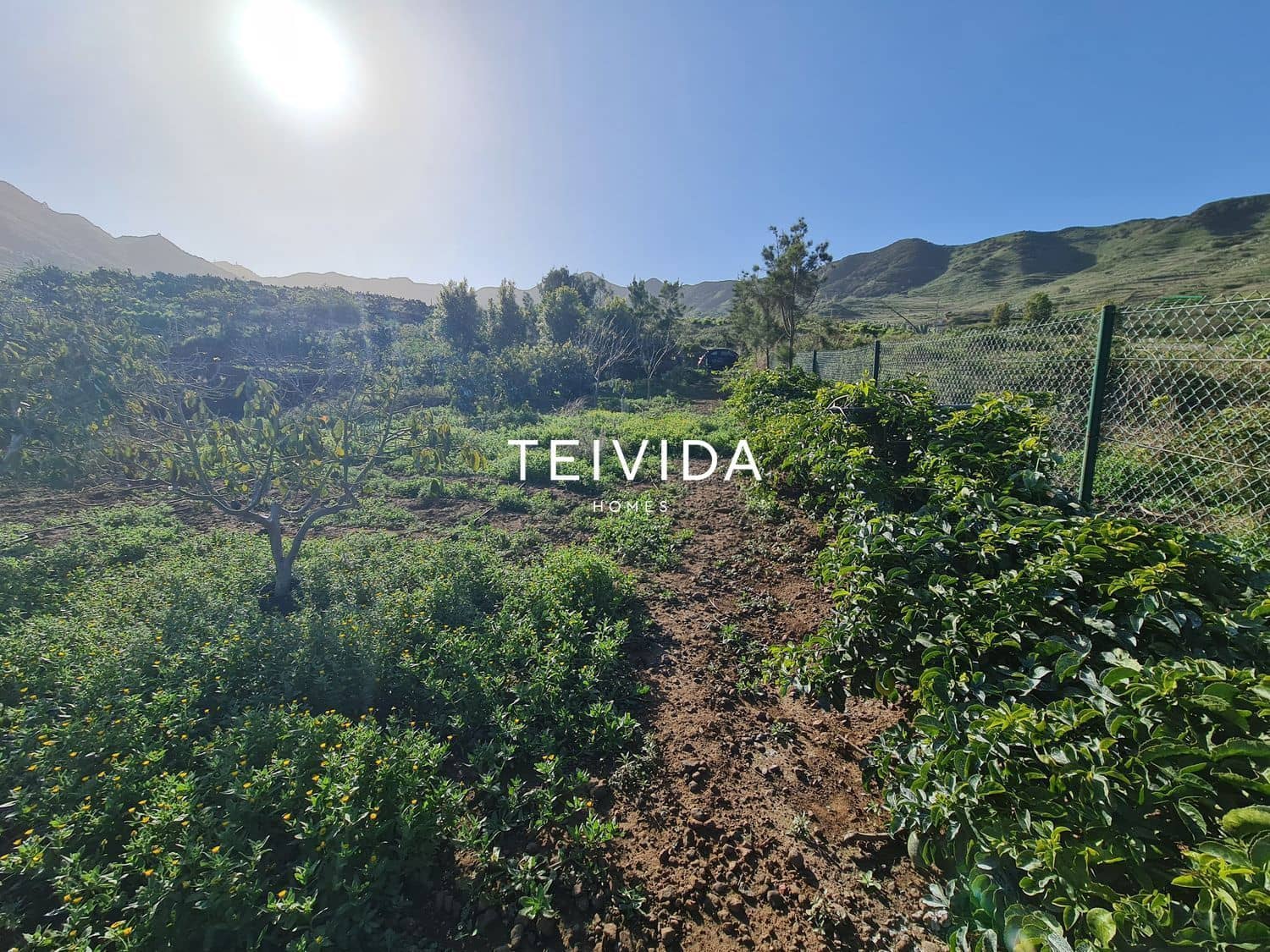 Tontti myytävänä paikassa Buenavista del Norte - 39 000 € (Ref: 10079932)