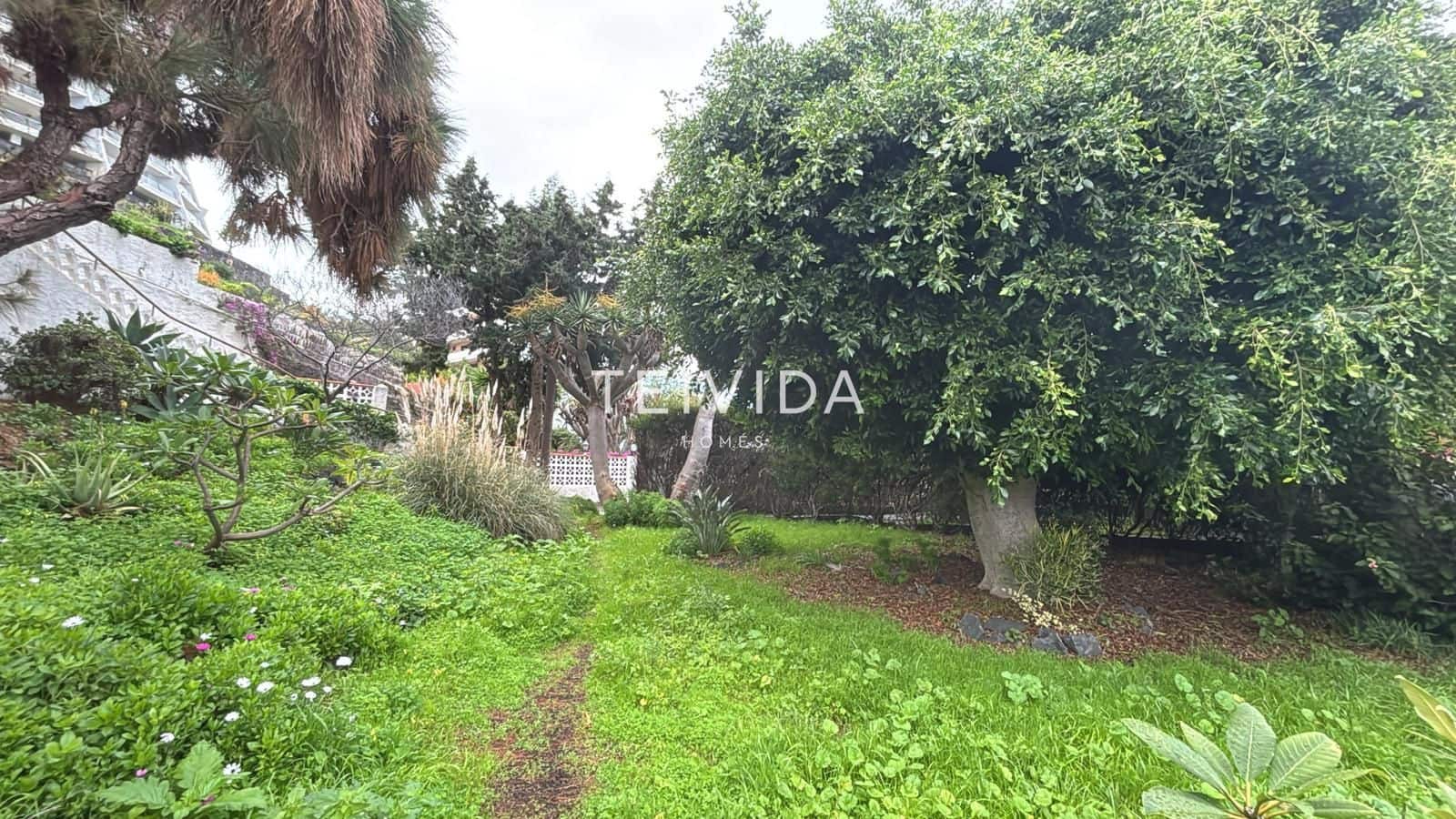 1 slaapkamer Flat te huur in Santa Cruz de Tenerife - € 1.250 (Ref: 9523312)