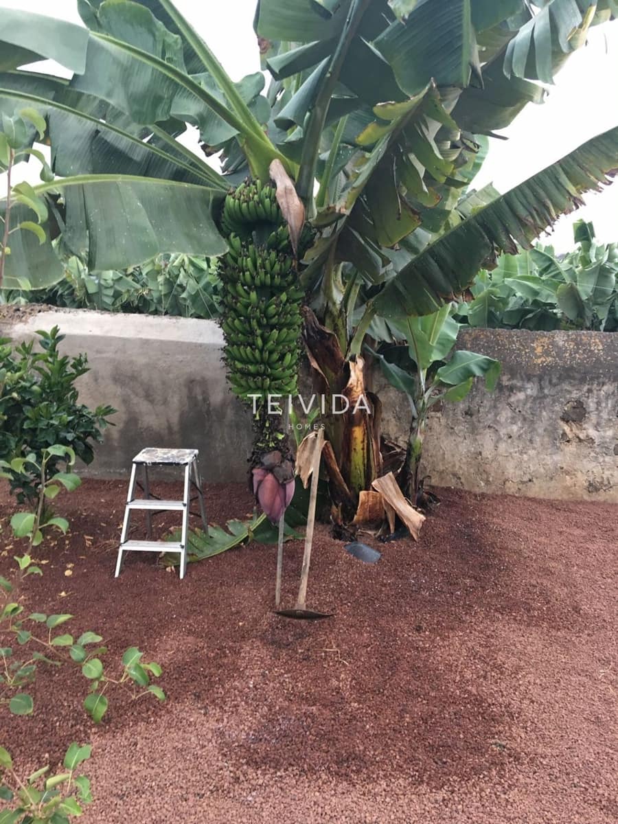 4 bedroom Villa for rent in Santa Cruz de Tenerife with pool garage - € 2,500 (Ref: 9631811)