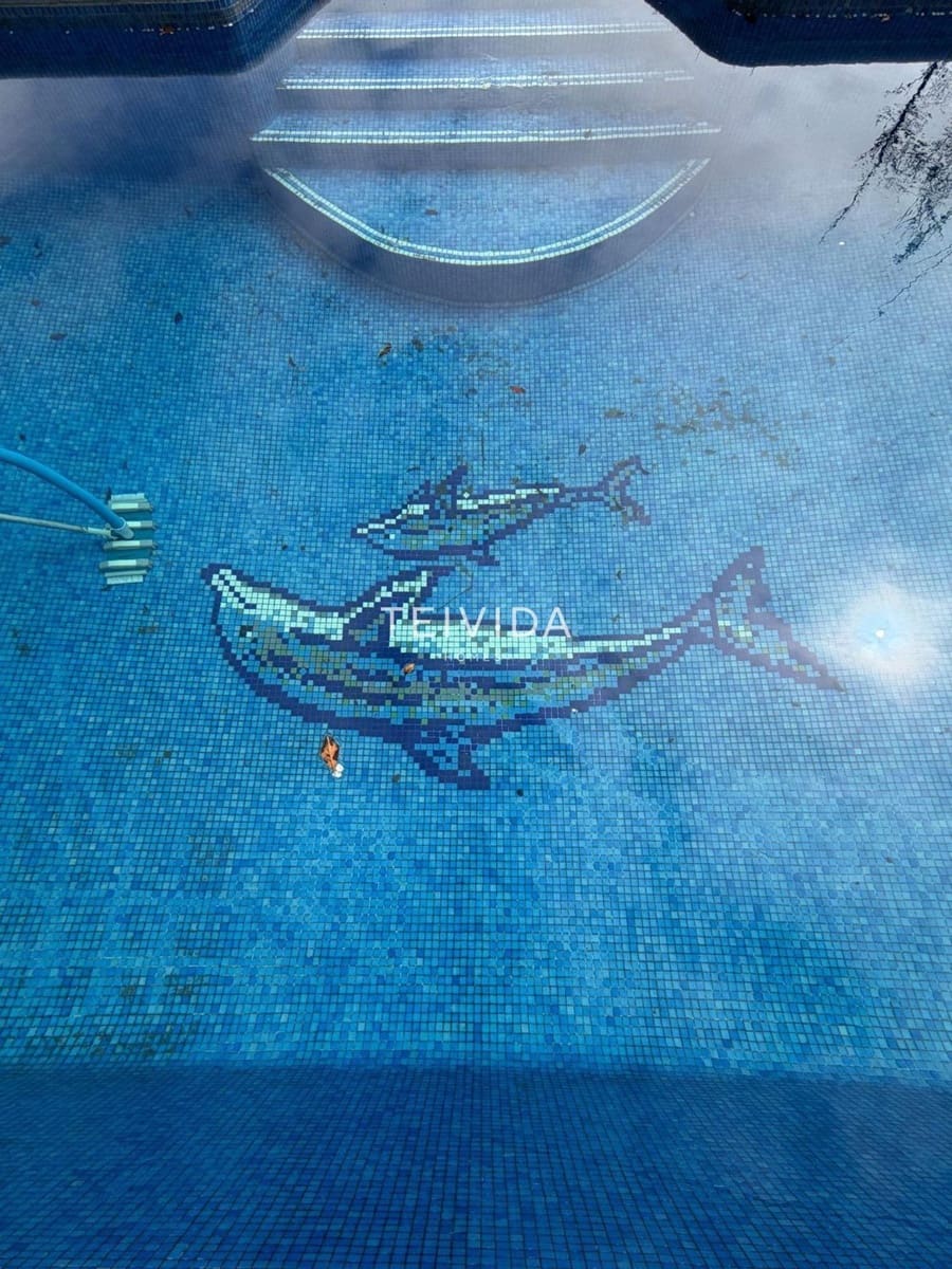 2 slaapkamer Villa te huur in Guimar met zwembad garage - € 1.950 (Ref: 9669317)