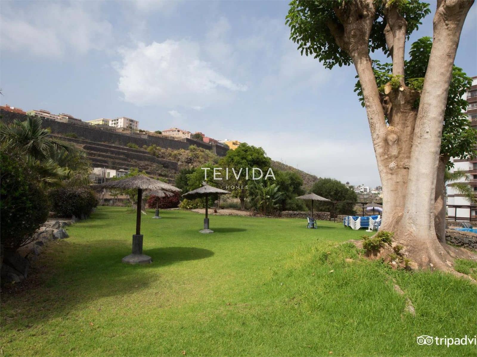 1 soverom Leilighet til leie i Los Realejos med svømmebasseng - € 850 (Ref: 9671239)