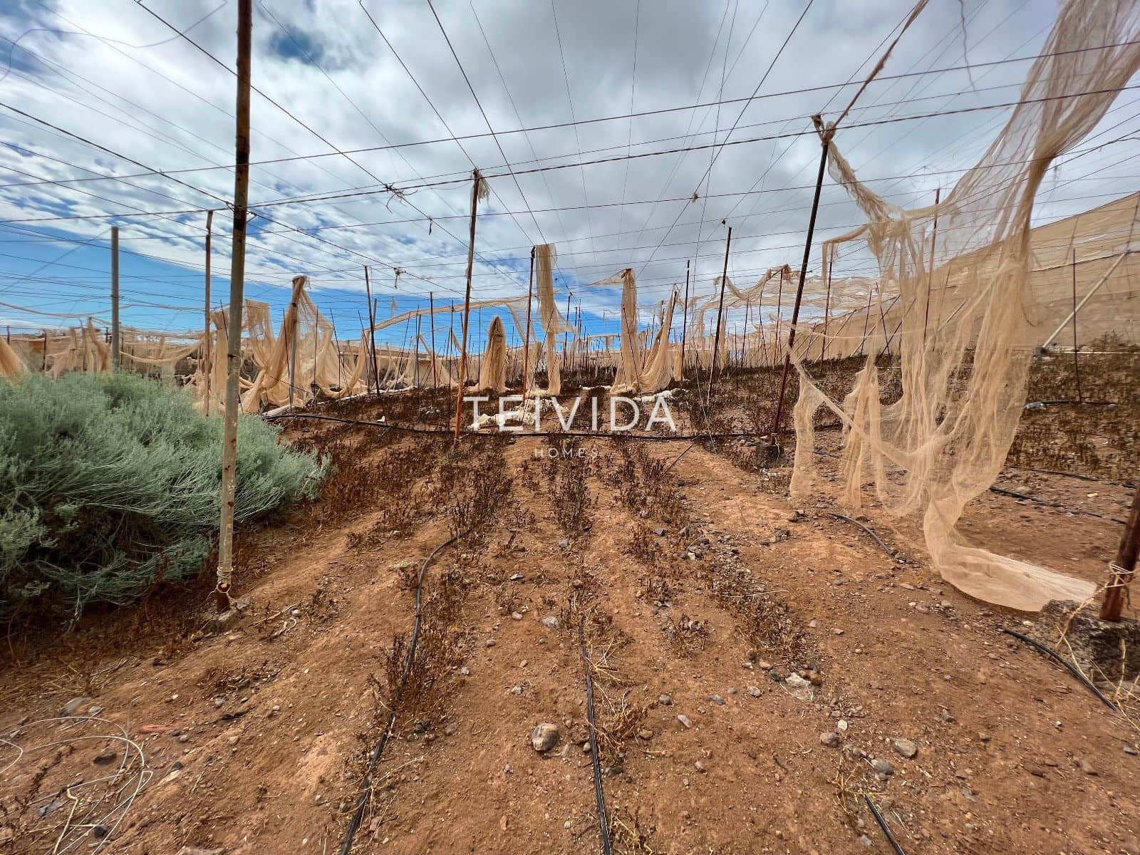 Building Plot for rent in Guia de Isora - € 650 (Ref: 9696745)