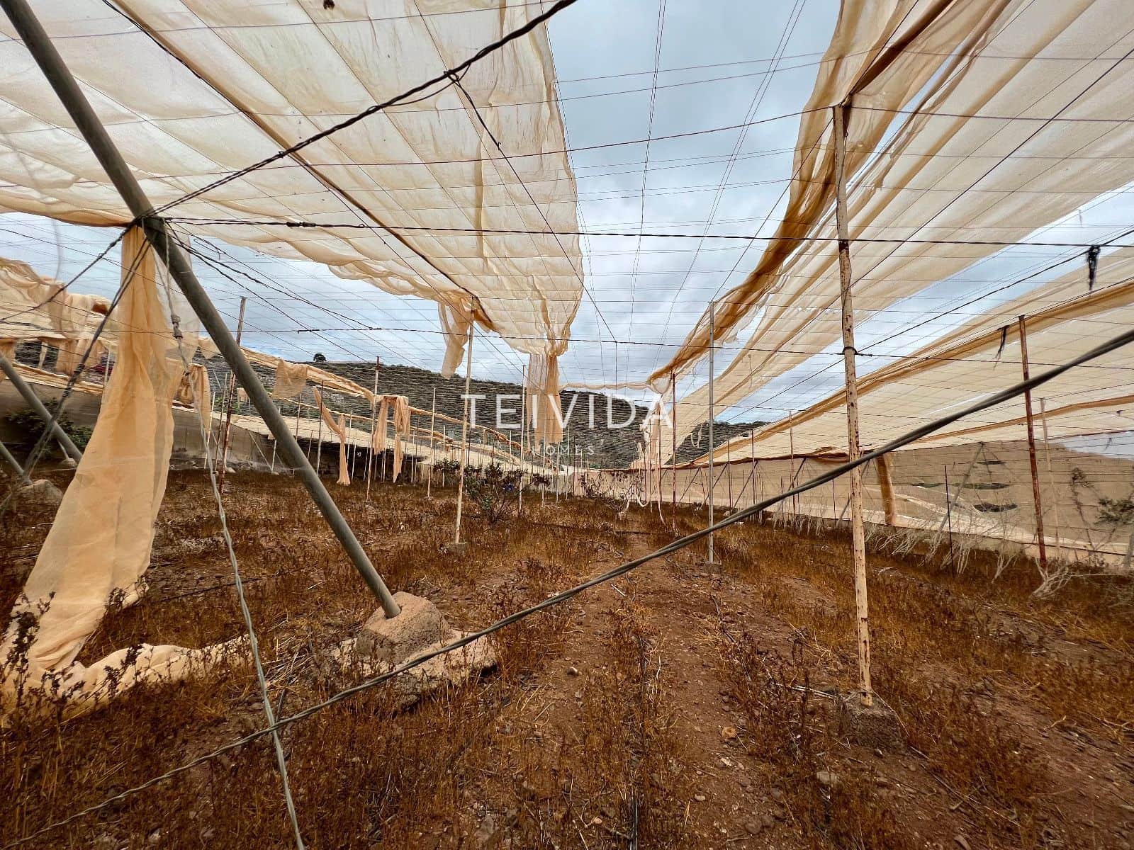 Building Plot for rent in Guia de Isora - € 650 (Ref: 9696745)