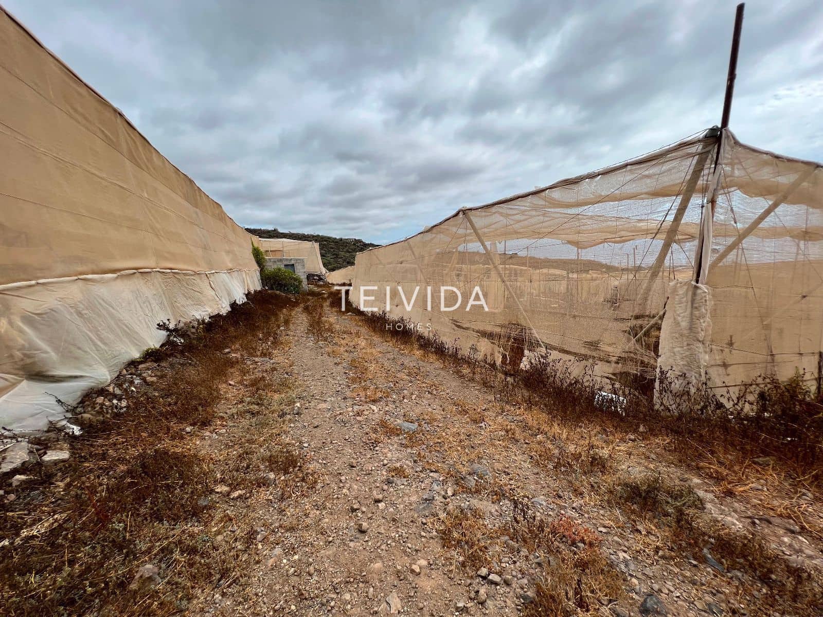 Building Plot for rent in Guia de Isora - € 650 (Ref: 9696745)