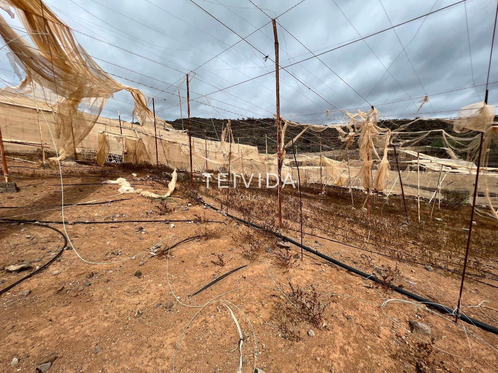 Building Plot for rent in Guia de Isora - € 650 (Ref: 9696745)