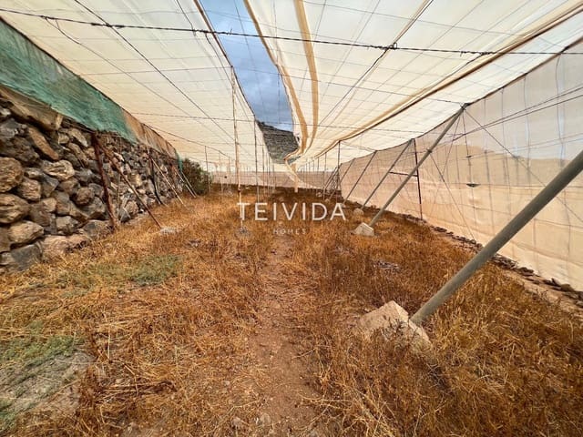 Building Plot for rent in Chio, Guía de Isora - € 650 (Ref: 9696745)