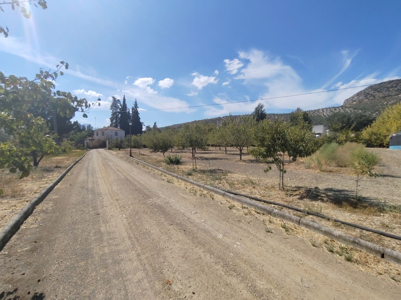 12 soveværelse Finca/Landehus til salg i Priego de Cordoba med swimmingpool - € 899.900 (Ref: 9544398)