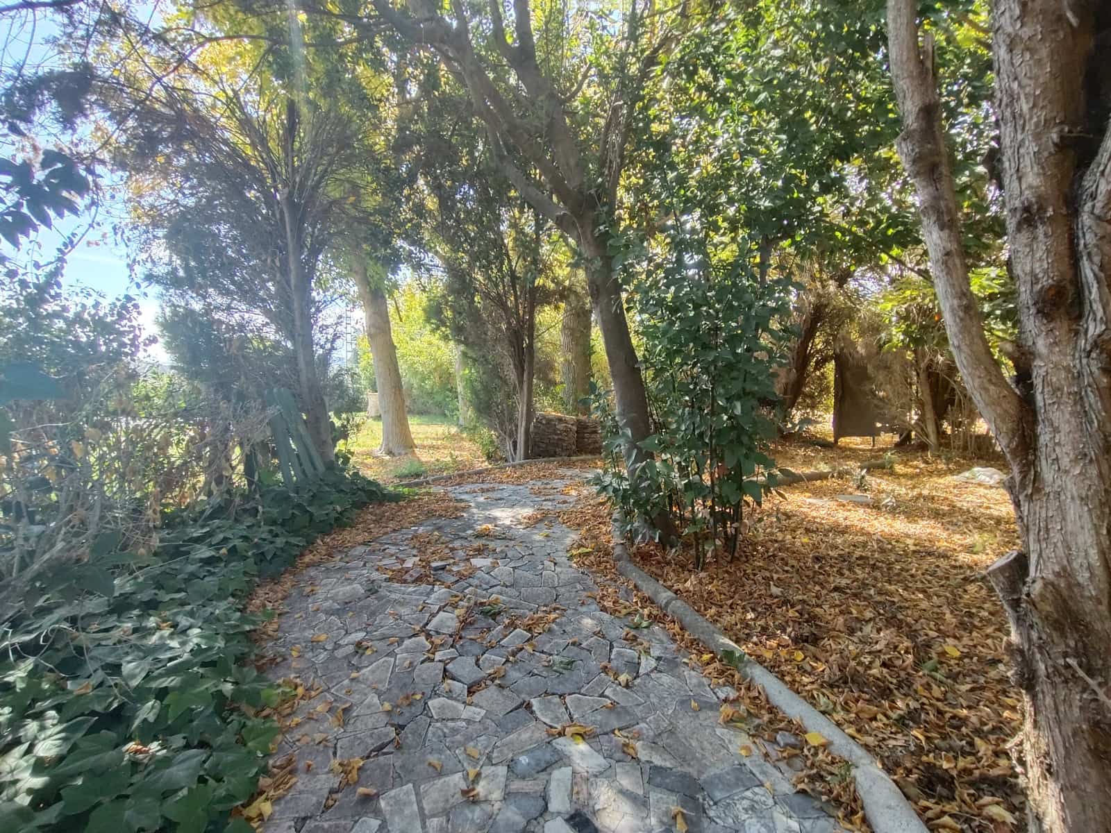 12 soveværelse Finca/Landehus til salg i Priego de Cordoba med swimmingpool - € 899.900 (Ref: 9544398)