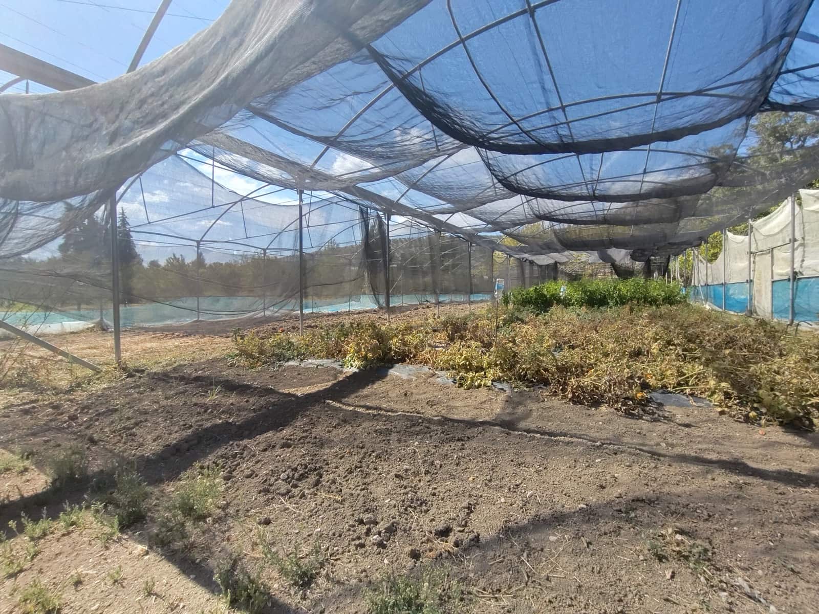 12 soveværelse Finca/Landehus til salg i Priego de Cordoba med swimmingpool - € 899.900 (Ref: 9544398)