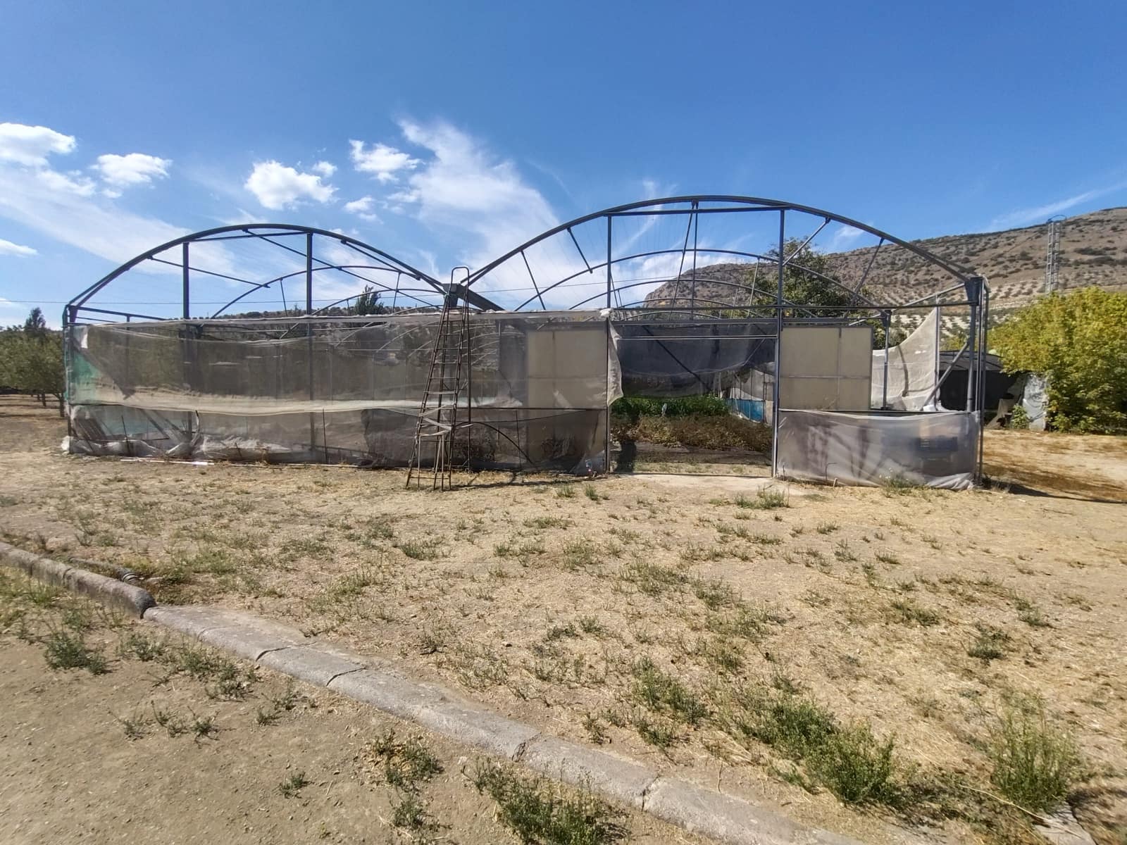 12 soveværelse Finca/Landehus til salg i Priego de Cordoba med swimmingpool - € 899.900 (Ref: 9544398)