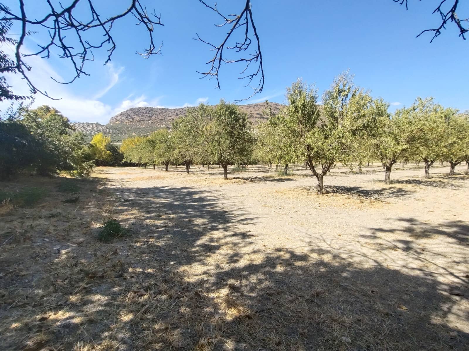 12 soveværelse Finca/Landehus til salg i Priego de Cordoba med swimmingpool - € 899.900 (Ref: 9544398)