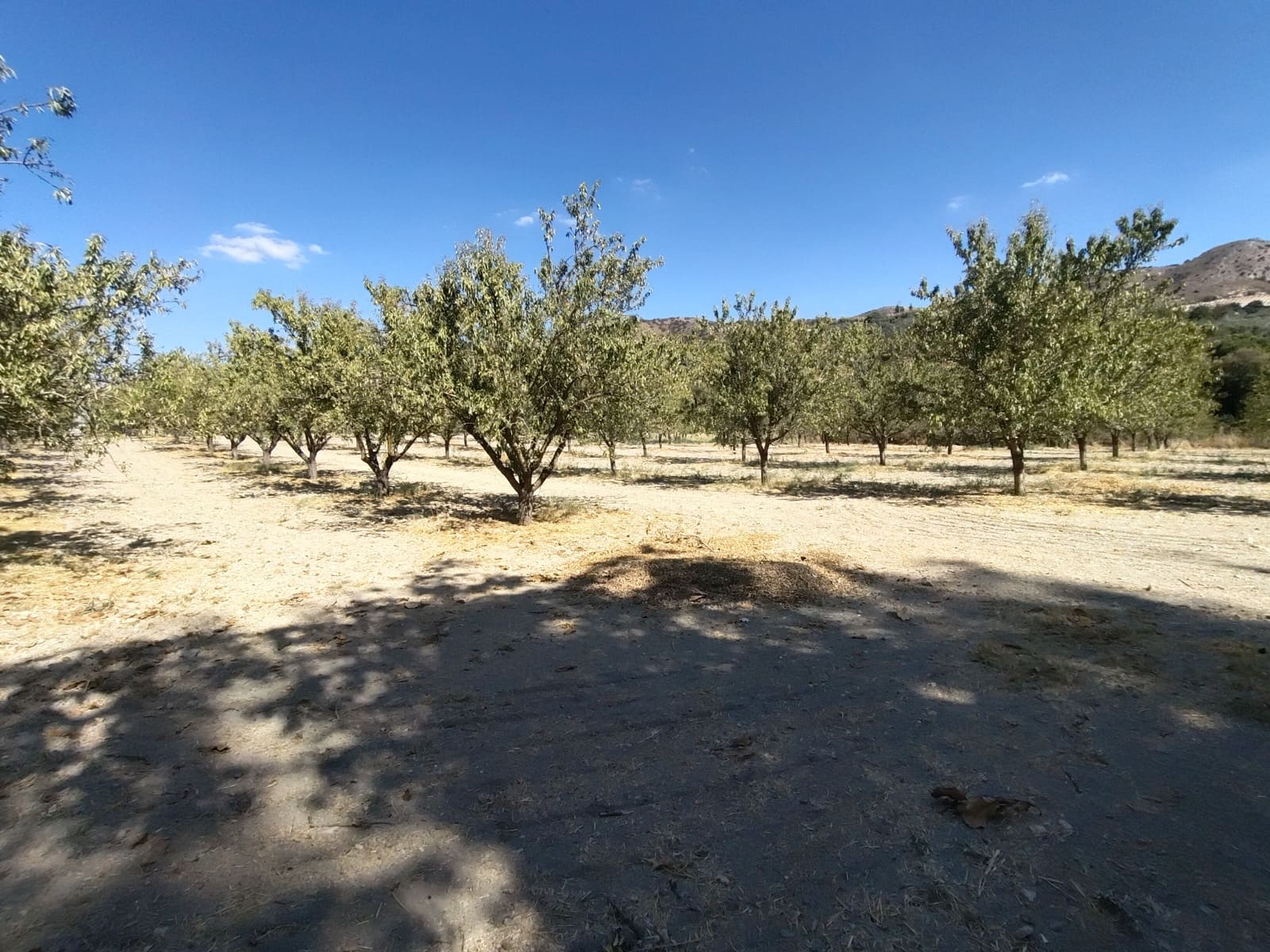 12 soveværelse Finca/Landehus til salg i Priego de Cordoba med swimmingpool - € 899.900 (Ref: 9544398)