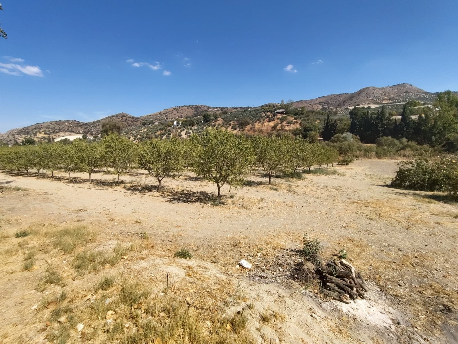 12 soveværelse Finca/Landehus til salg i Priego de Cordoba med swimmingpool - € 899.900 (Ref: 9544398)