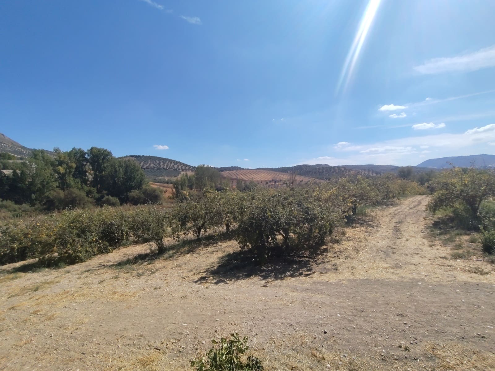 12 soveværelse Finca/Landehus til salg i Priego de Cordoba med swimmingpool - € 899.900 (Ref: 9544398)