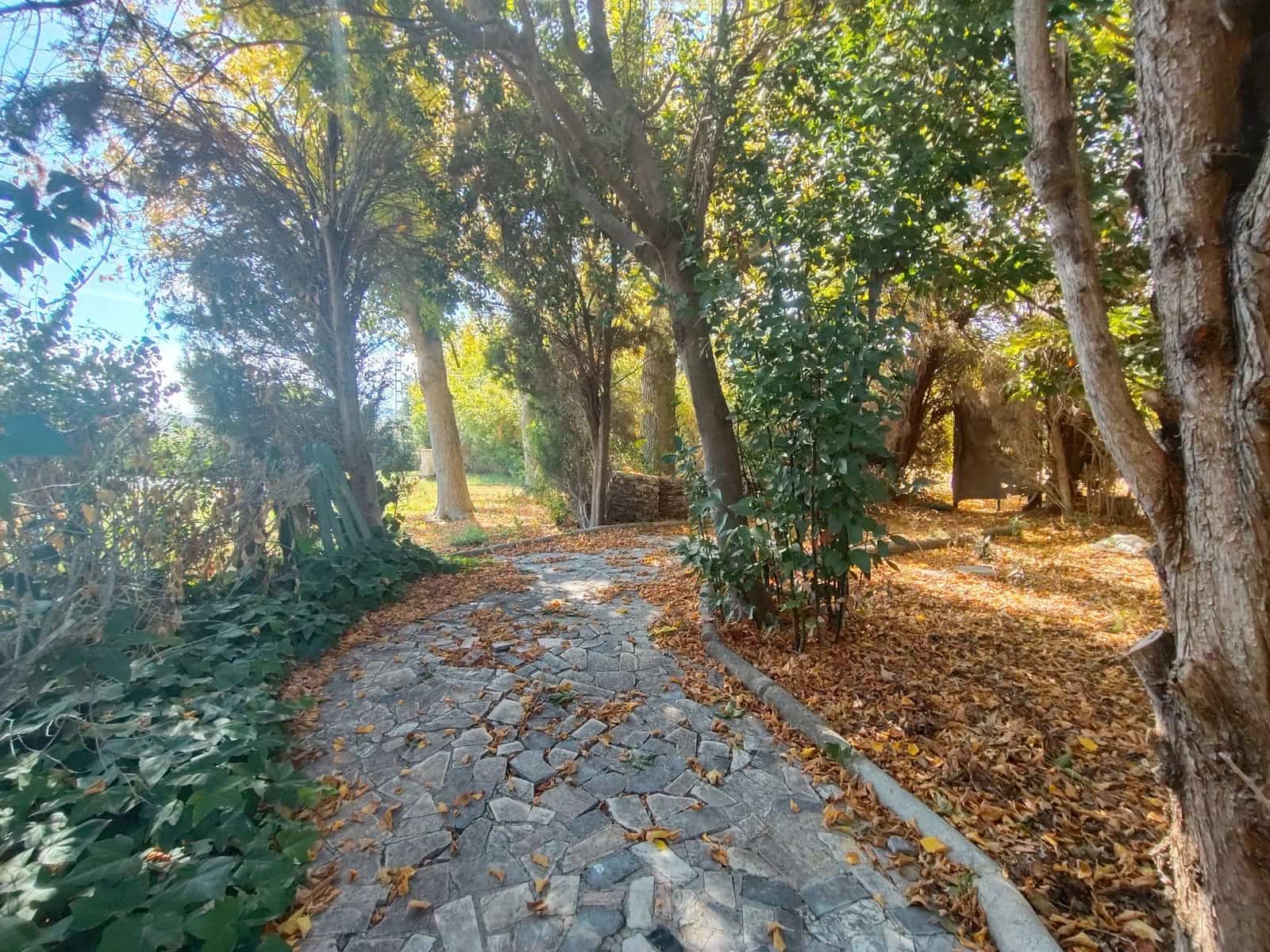 12 bedroom Finca/Country House for sale in Priego de Cordoba with pool garage - € 899,900 (Ref: 9548649)